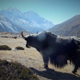 Namche Pazaar